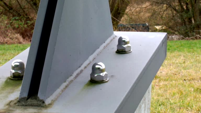 Best Industrial Mold Remediation  in Woodbourne, PA