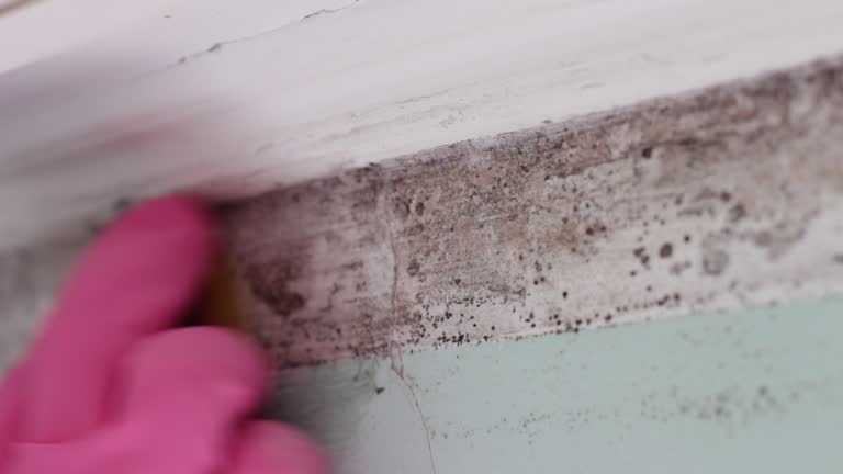 Best Residential Mold Inspection & Testing  in Woodbourne, PA